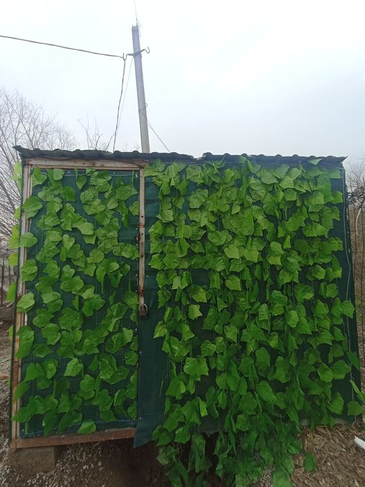 Butka sotiladi narxini kelshamz 2ta baloni bor