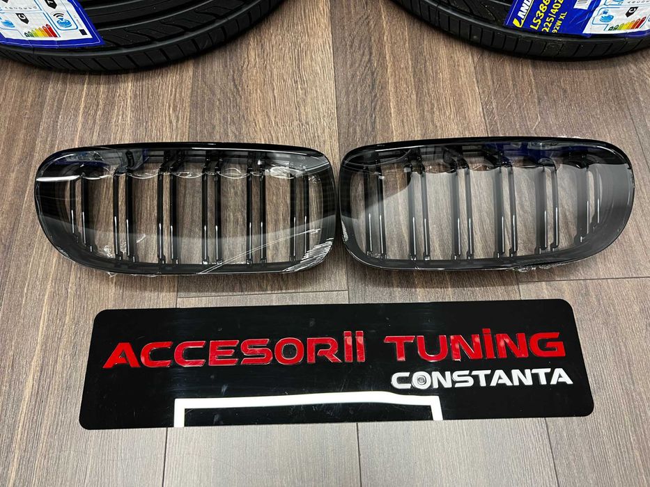 Grile - Nari Duble BMW Seria 5 F10 F11