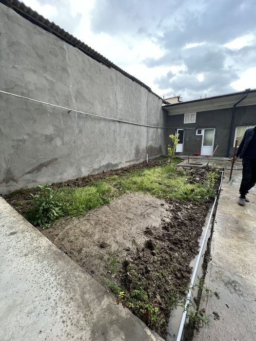 Газон экамиз gazon ekamiz рулон ва уругдан 100% гарантия