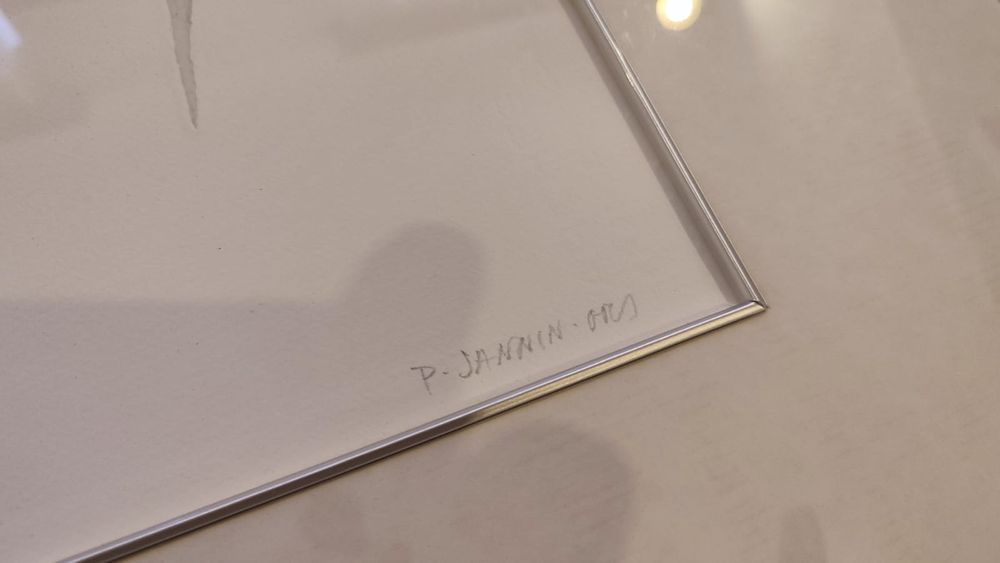 Tablou de colecție Patrik Jannin-Oms