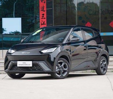 Byd Seagull nasiya savdo