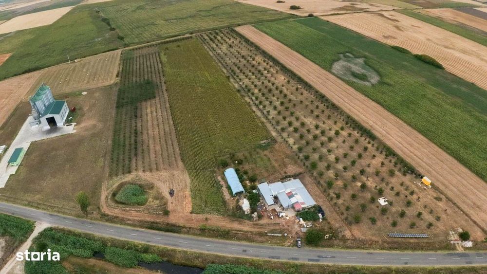 Livadă de 3,6 hectare în Iratoșu – Oportunitate