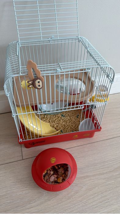 Продам хомяка, мальчик, чистый