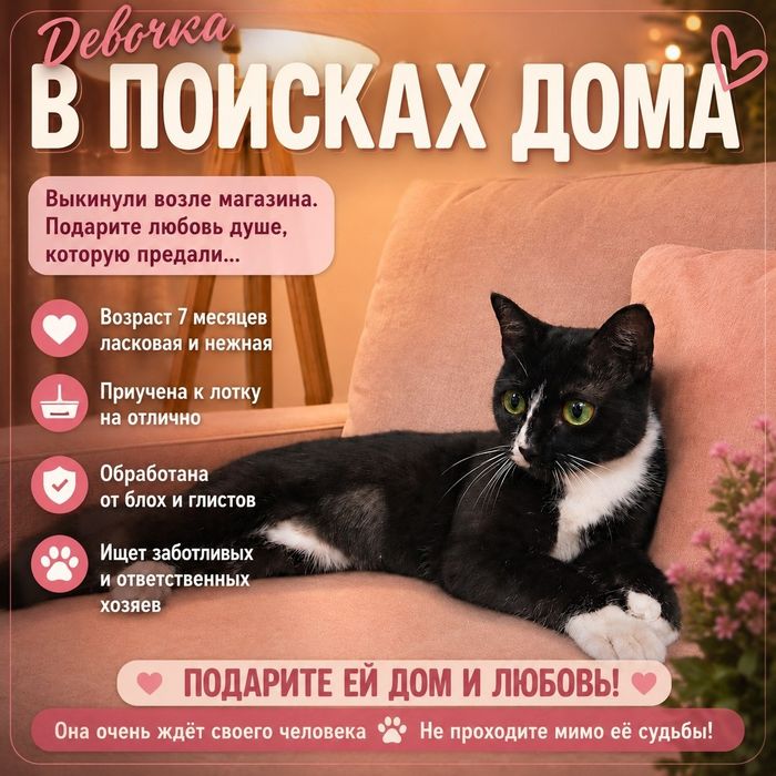 Молодая кошечка в добрые руки