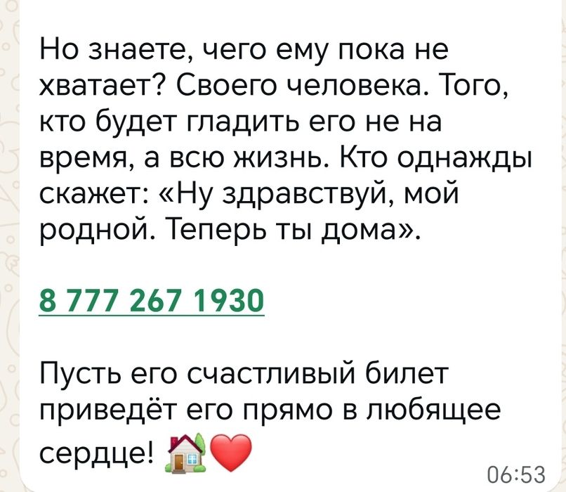 Молодой вислоухий котик ищет семью