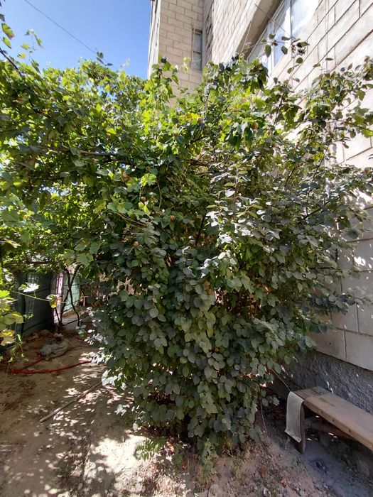 Продам 3х комнатную квартиру