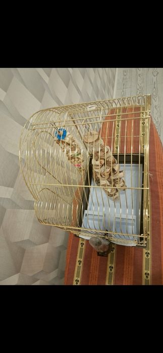 Клетка для попугая