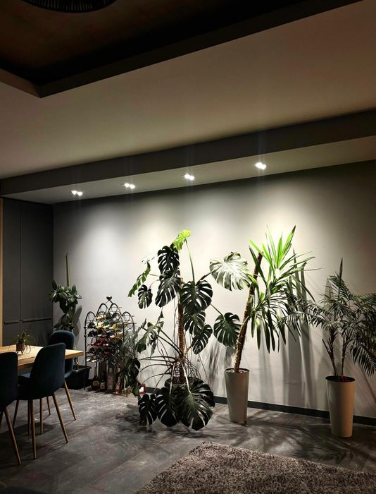 Penthouse de inchiriat in Borhanci