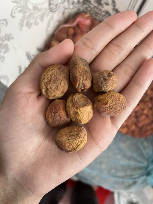 домашний курага урюка