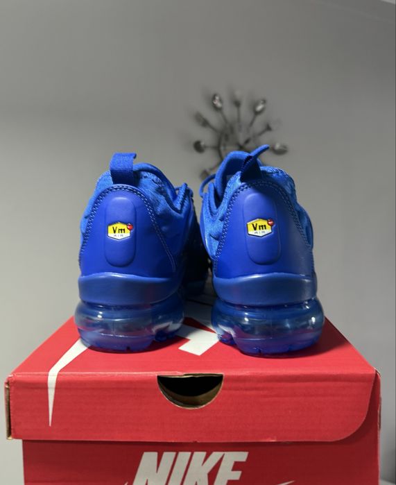 Nike Vapor Max Plus Blue