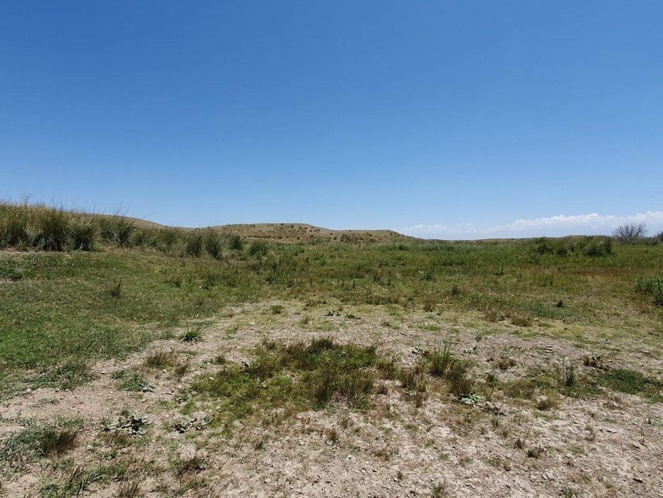 КХ , 150 га , Мынбаев - Айкым