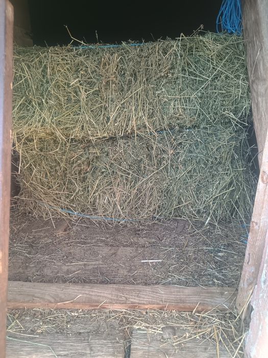 Vând baloți lucernă