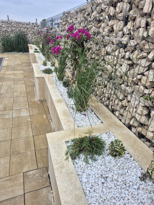 Casa, vila, piscina. Proiect finalizat