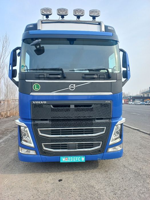 VOLVO FH 460. Standard. 2018-yil. Peregon