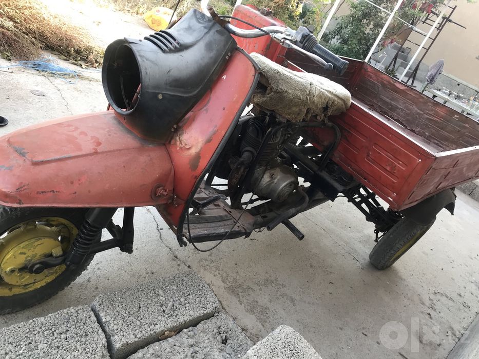 Муравей россия трицикл