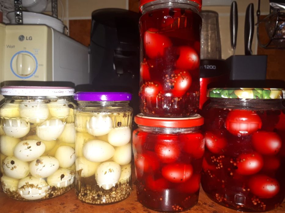 Oua de prepelite pentru consum și incubare.