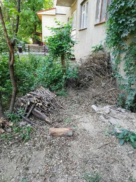 Ветки на дрова, Бесплатно