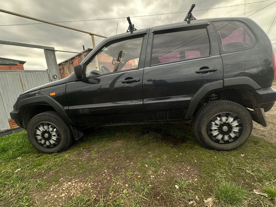 Шнива живая ездиет