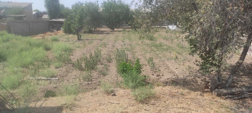 Yer sotiladi hamma sharoiti bor