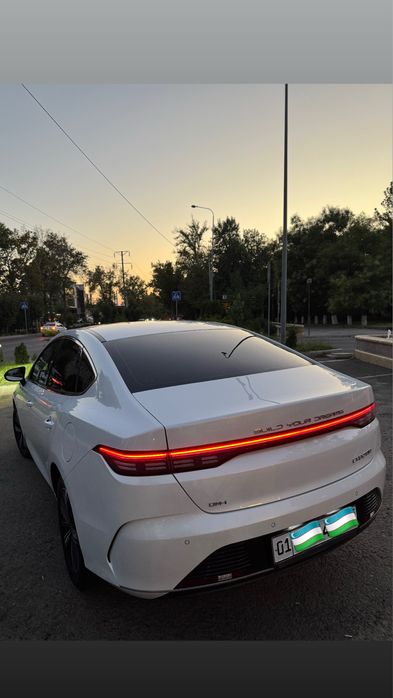 Byd chazor full позиция