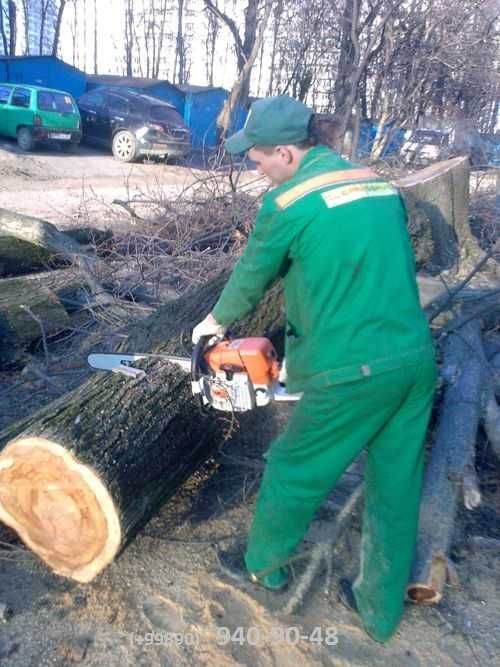 Бензопилы, тример, культиватор. Уборка, вскапывание огорода, побелка