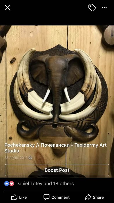 Поставки за ловни трофеи
