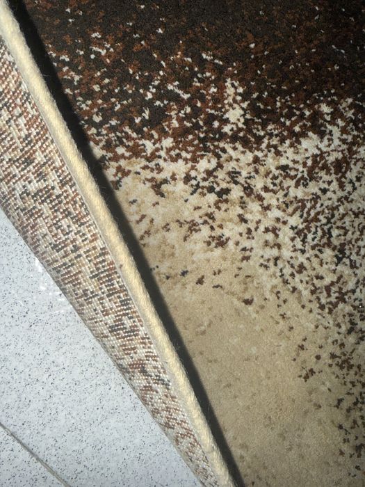 Голям килим и пътека