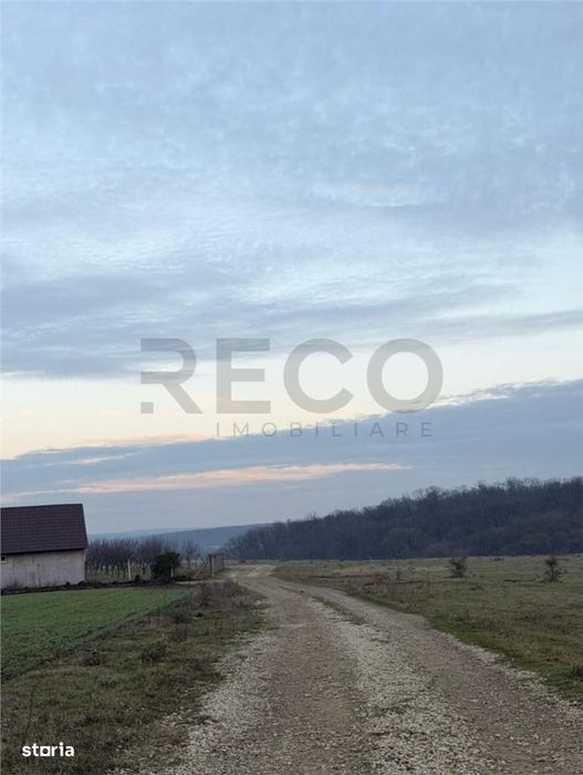 Teren Pausa langa padure