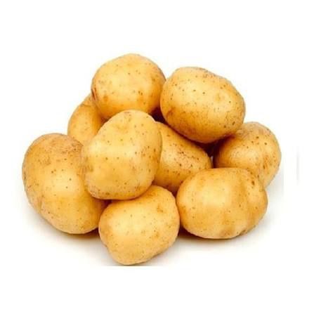 Продам картофель