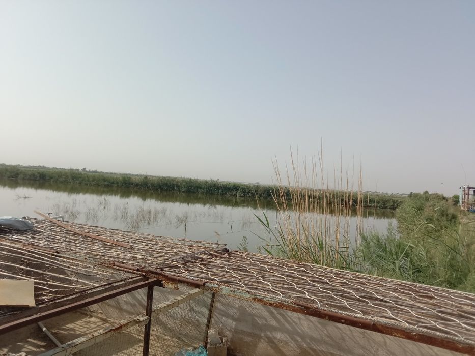 Чорвачилик  Балиқчилик  Ферма  сотилади