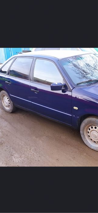 Костоправ маляр