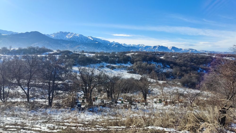 Продам мёд,горное разнотравье