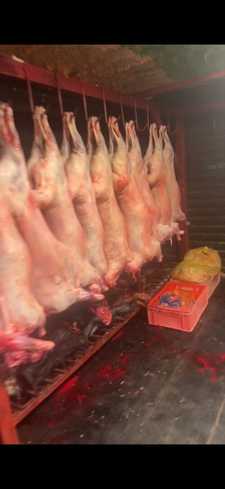 Мясо Алматы все ассортименты