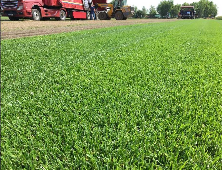 Soluții Complete: Gazon, Irigare, Montaj