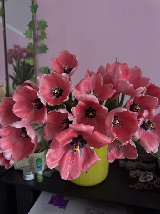 Тюльпаны опт розница