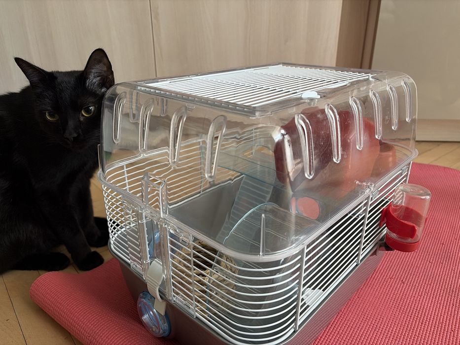 Cusca hamster + accesorii