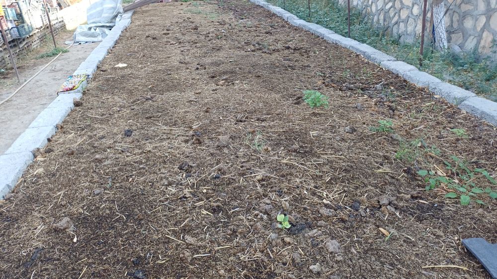 Биогумис олий навли