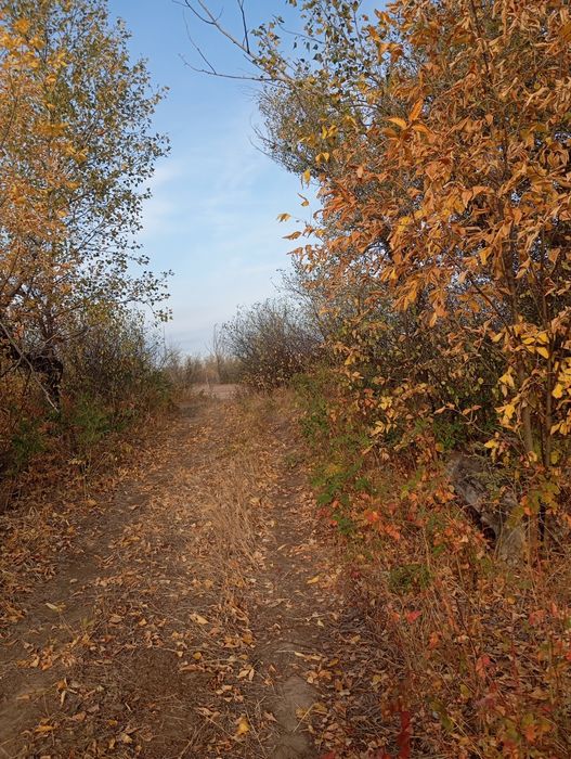 СРОЧНО!! Продам дачу.  Торг хороший