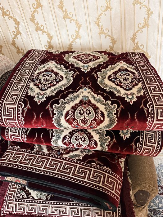 Kórpachalar 2022 yil yangi olingan