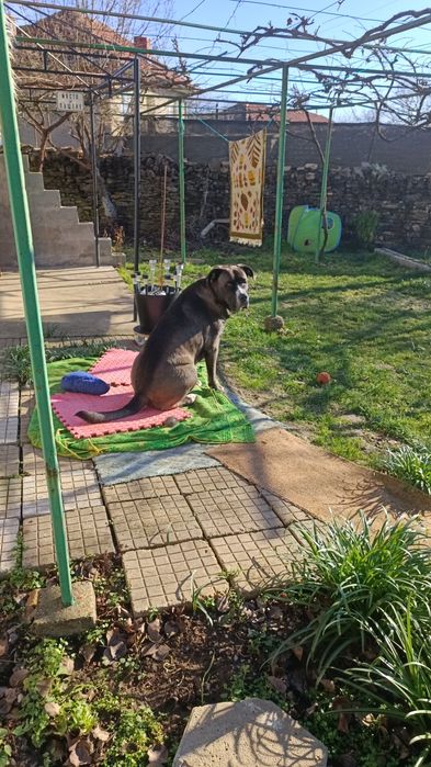 Продава се Къща в Севлиево - 170 кв.м за 135 €/кв.м - Снимка #6