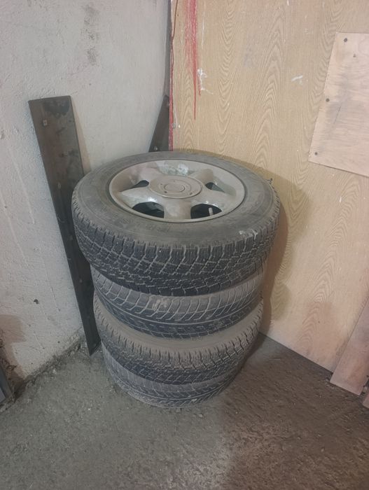 Летние шины на титановых дисках