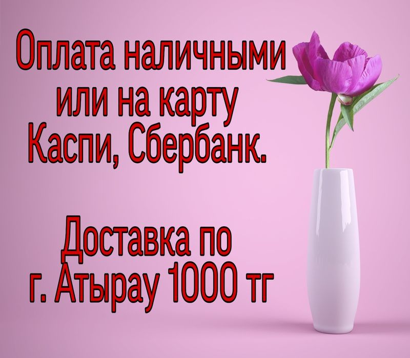 Хлорофитумы комнатные цветы