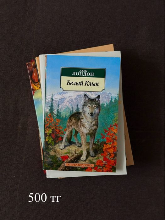 книги в отличном состоянии