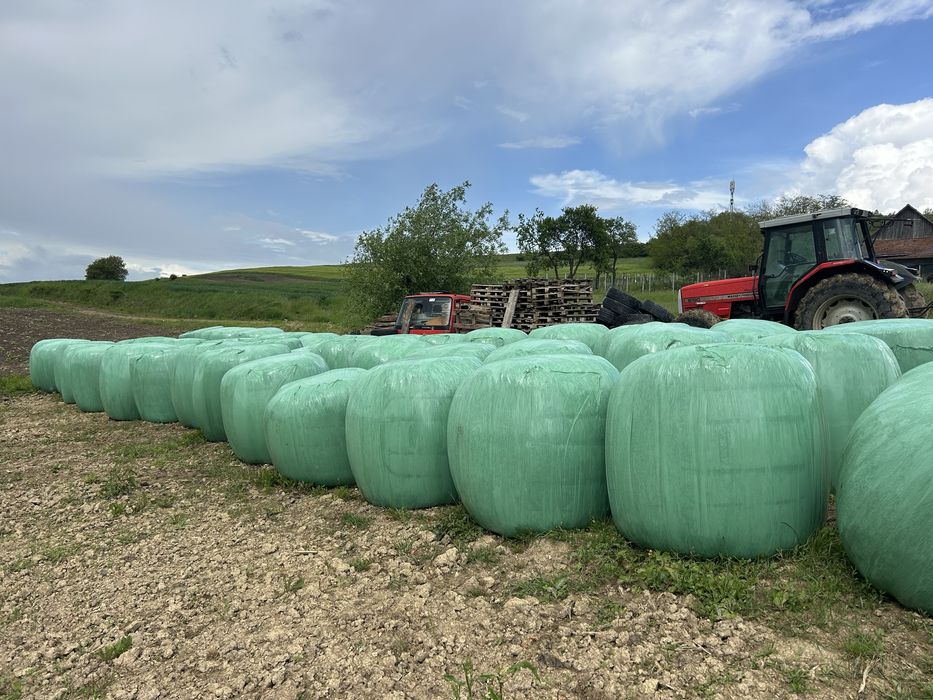 Baloti de lucerna  infoliati 130x120