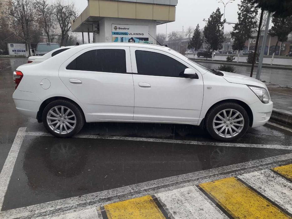 Cobolt Style Avtomat 2024