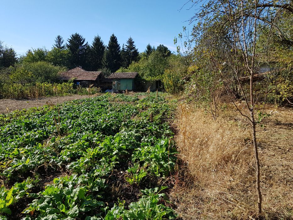 Продава се Къща в Велико Търново, Бузлуджа - 123 кв.м за 145 €/кв.м - Снимка #6