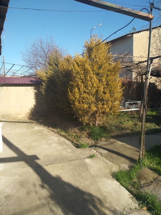 Недвижимость Продажа земельного участка ,   цэна договорн