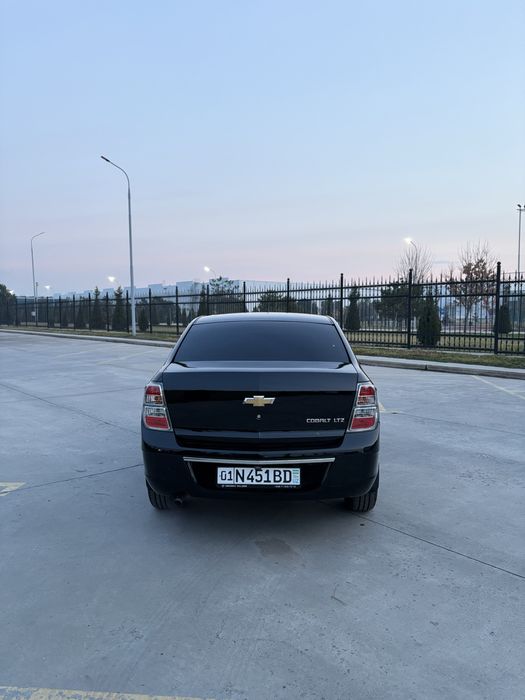 Cobalt Qora Midnight 2025