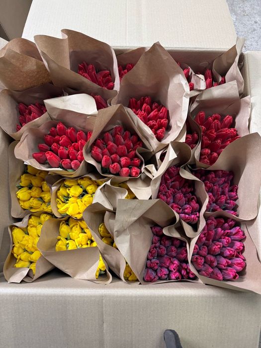 Тюльпаны к 8 Марта