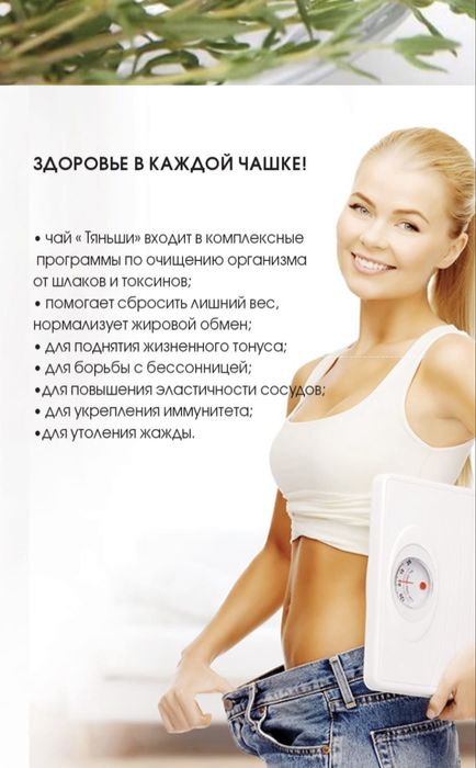 Антилипидный чай Тяньши